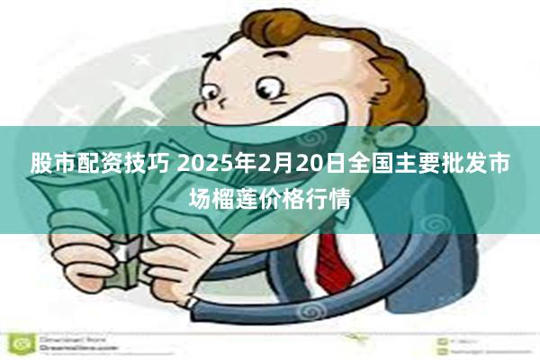 股市配资技巧 2025年2月20日全国主要批发市场榴莲价格行情