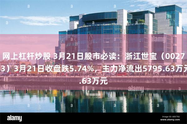 网上杠杆炒股 3月21日股市必读：浙江世宝（002703）3月21日收盘跌5.74%，主力净流出5795.63万元