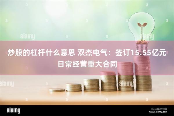 炒股的杠杆什么意思 双杰电气：签订15.55亿元日常经营重大合同