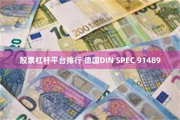 股票杠杆平台排行 德国DIN SPEC 91489