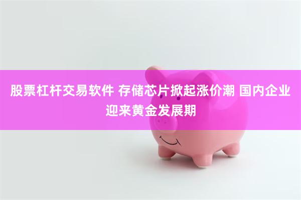 股票杠杆交易软件 存储芯片掀起涨价潮 国内企业迎来黄金发展期