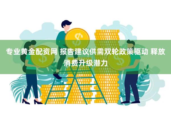 专业黄金配资网 报告建议供需双轮政策驱动 释放消费升级潜力