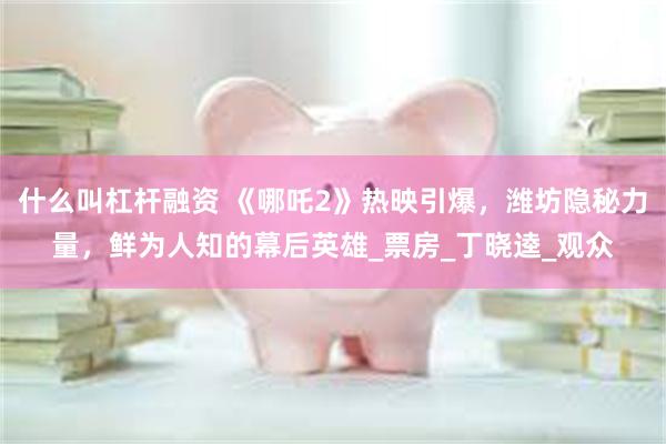 什么叫杠杆融资 《哪吒2》热映引爆，潍坊隐秘力量，鲜为人知的幕后英雄_票房_丁晓逵_观众