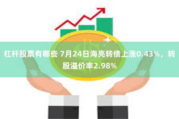 杠杆股票有哪些 7月24日海亮转债上涨0.43%，转股溢价率2.98%