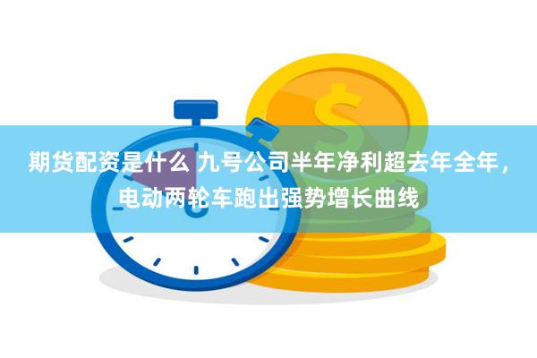 期货配资是什么 九号公司半年净利超去年全年，电动两轮车跑出强势增长曲线
