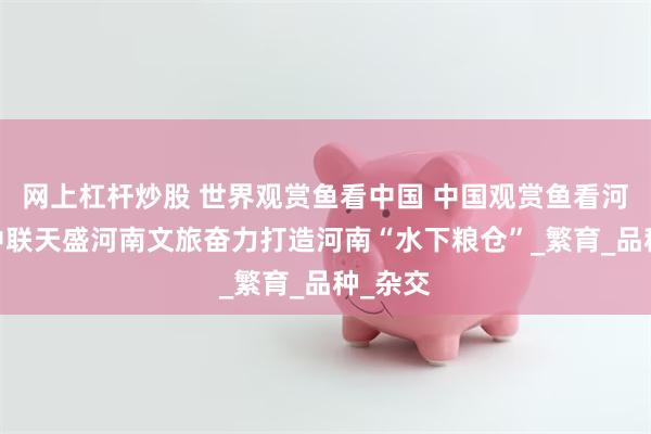 网上杠杆炒股 世界观赏鱼看中国 中国观赏鱼看河南——中联天盛河南文旅奋力打造河南“水下粮仓”_繁育_品种_杂交