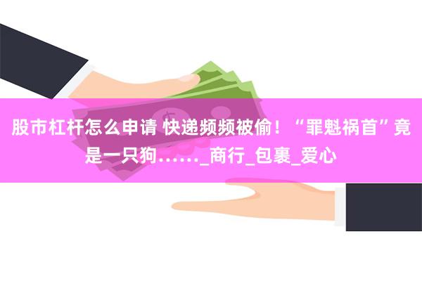 股市杠杆怎么申请 快递频频被偷！“罪魁祸首”竟是一只狗……_商行_包裹_爱心